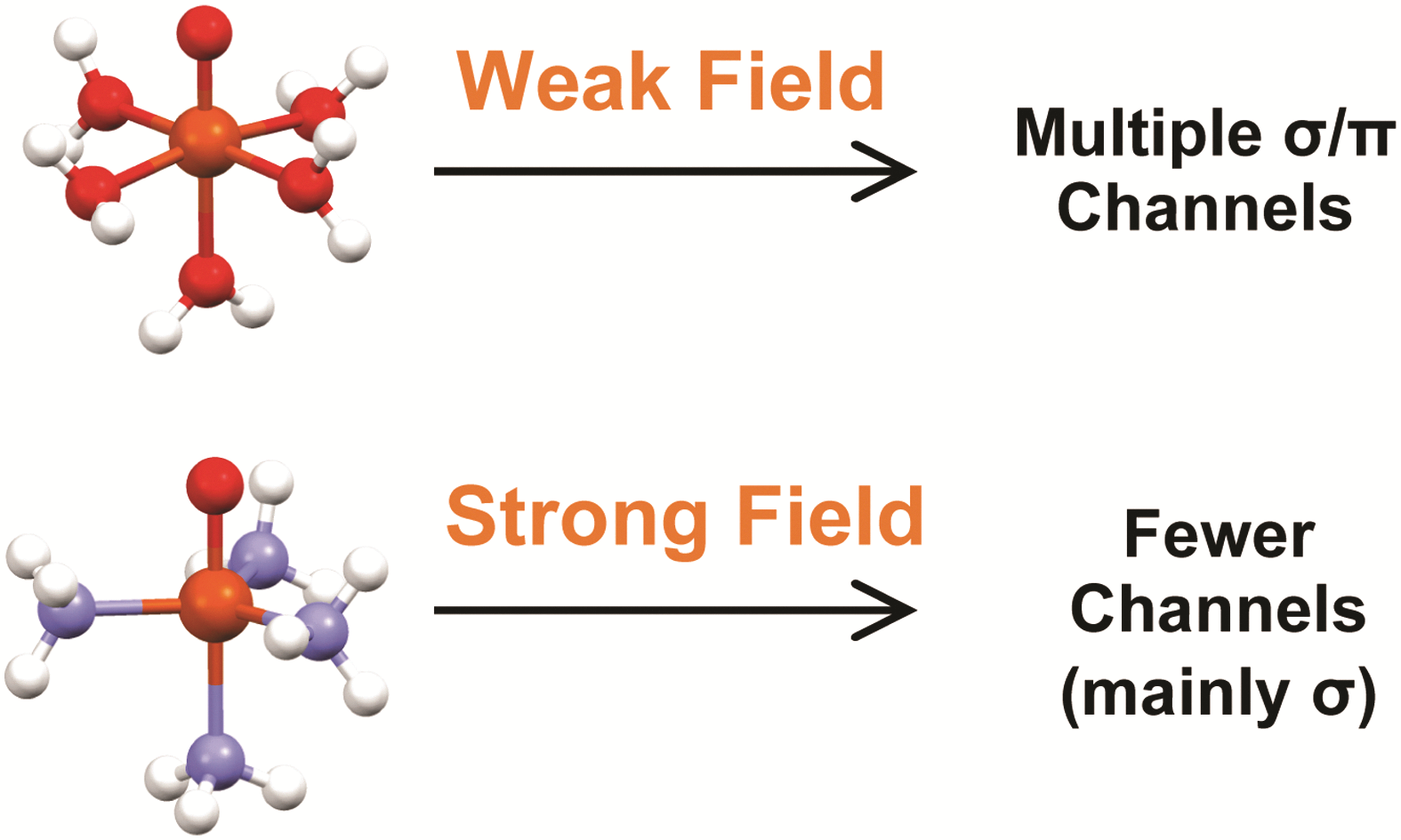 Graphical abstract Graphical abstract: Ligand field effects on the ground and excited states of reactive FeO2+ species